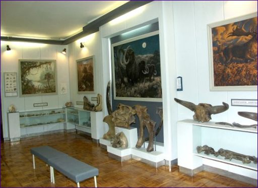 Muzeum místní historie ve Volsku