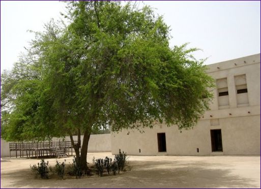 Dům Al-Jasra