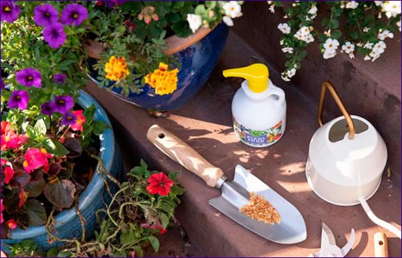 Hnojivo pro květiny: Jak vybrat správné hnojivo?