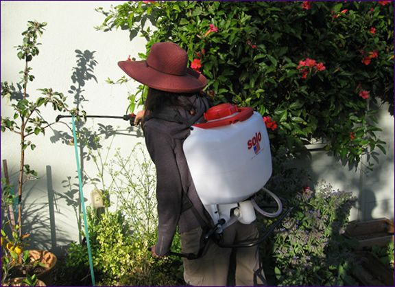 Jarní ošetření zahrady proti chorobám a hmyzu