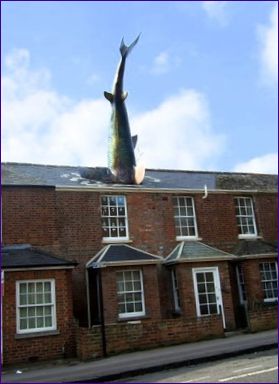 Headington Shark (Oxford, Velká Británie)