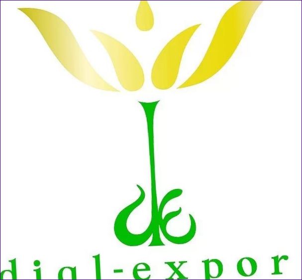 Dial-Export (Česká republika)