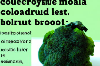 Správné vaření brokolice | Odborný materiál