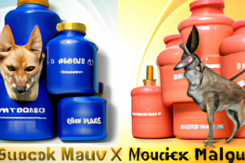 Srovnání produktů Maxilac a Buckset | Určení nejlepšího z nich